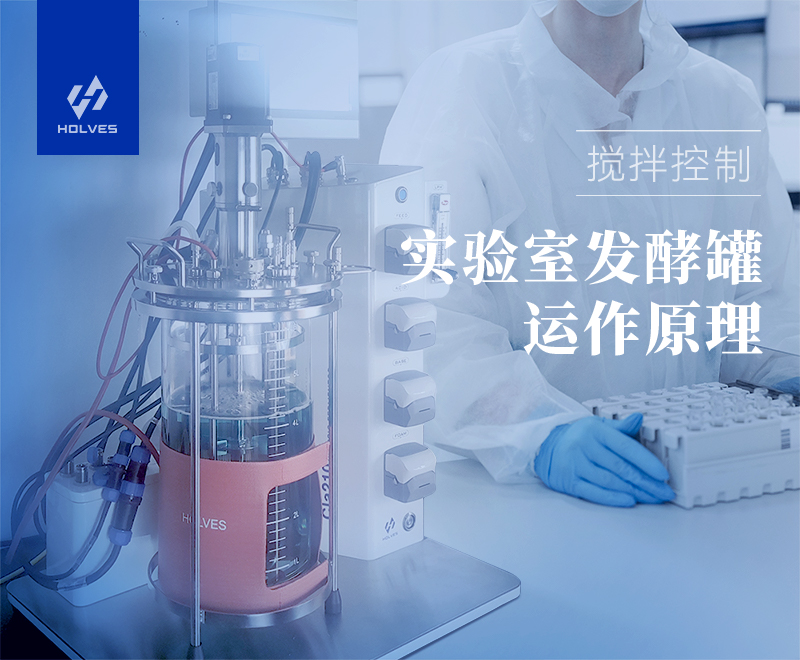 實驗室發酵罐運作原理之攪拌控制 實驗室發酵罐運作原理之攪拌控制