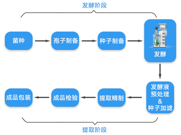 抗生素生產流程示意圖 抗生素生產流程示意圖